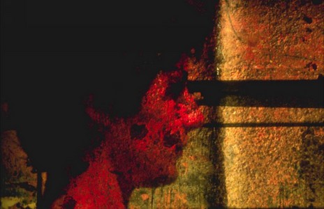 dalla serie Stratificazionii 1978-81 60RID.JPG